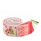 Front Porch 2.5" Strip Roll (Jelly Roll / Rolie Polie) by Jill Finley for Riley Blake (RP-17210-40)